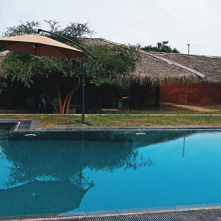 The Elephant Pass - Yala Tissamaharama Extérieur photo