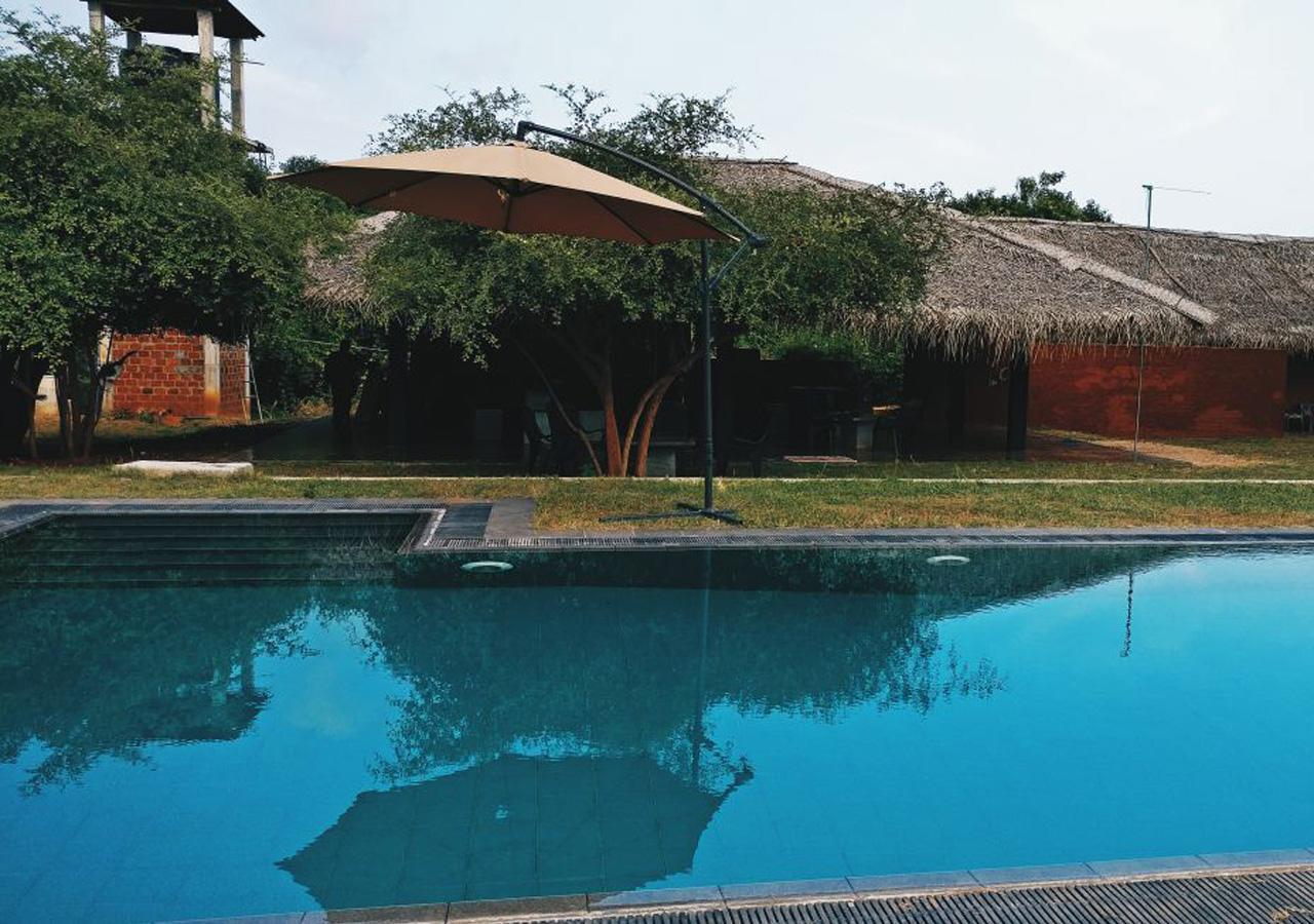 The Elephant Pass - Yala Tissamaharama Extérieur photo
