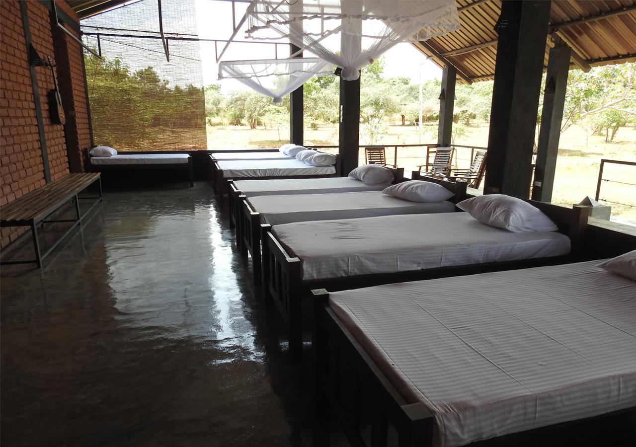 The Elephant Pass - Yala Tissamaharama Extérieur photo