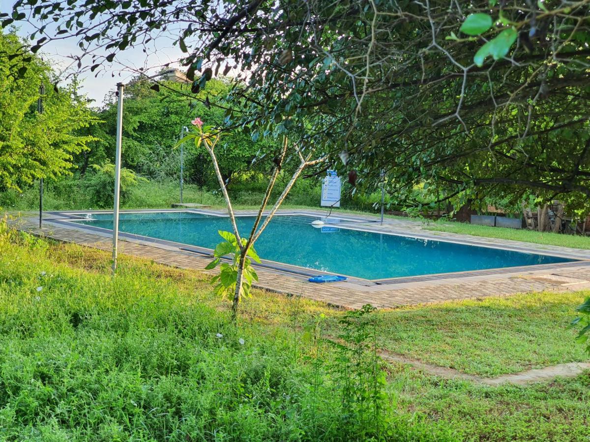 The Elephant Pass - Yala Tissamaharama Extérieur photo